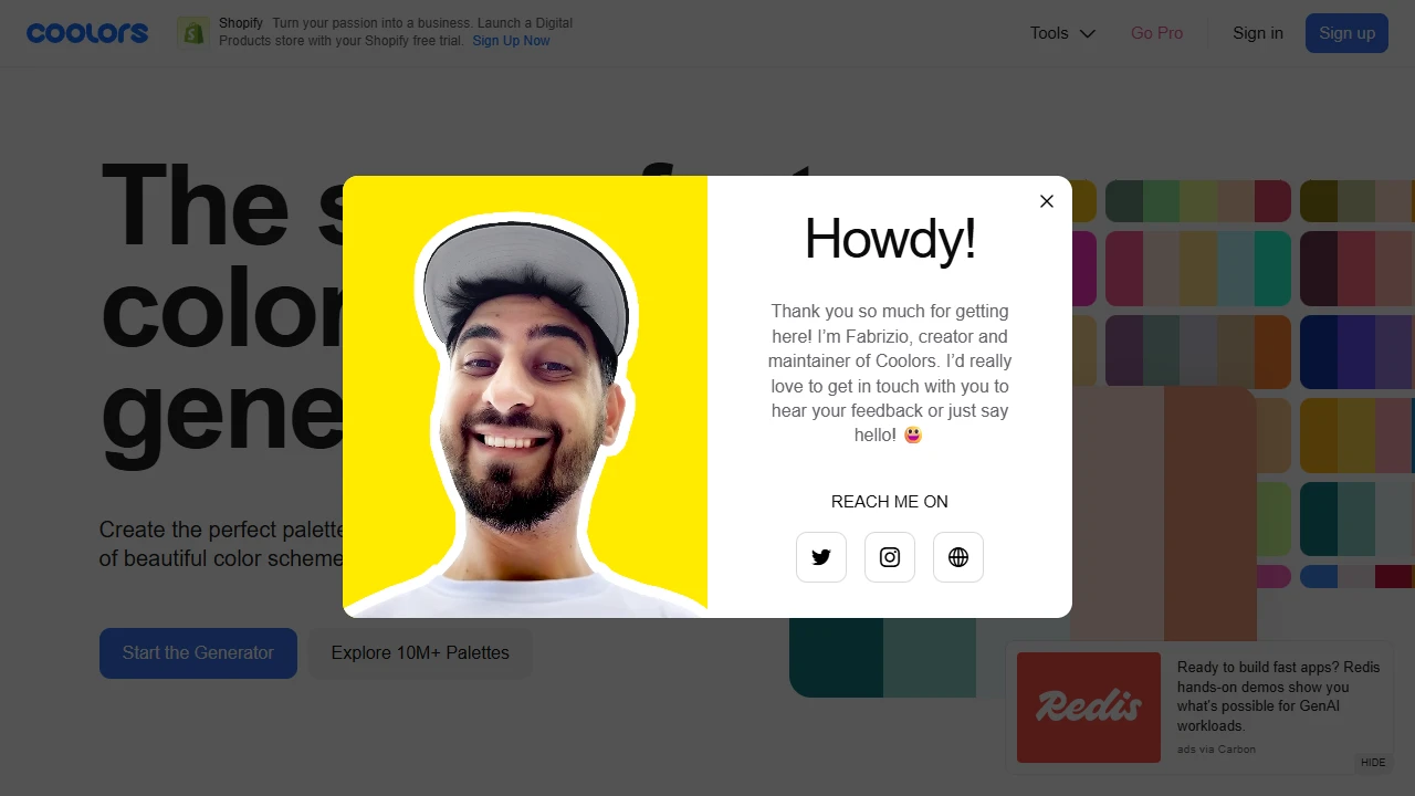 Screenshot of Coolors