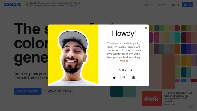 Screenshot of Coolors