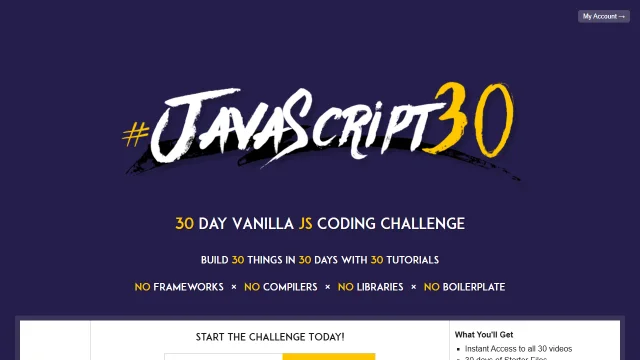 Screenshot of JavaScript 30
