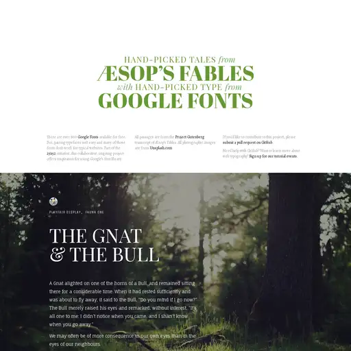 Screenshot of Google Web Fonts Typographic Project website