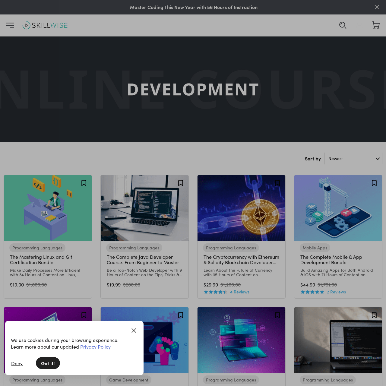 Screenshot of SkillWise Online Development Courses website