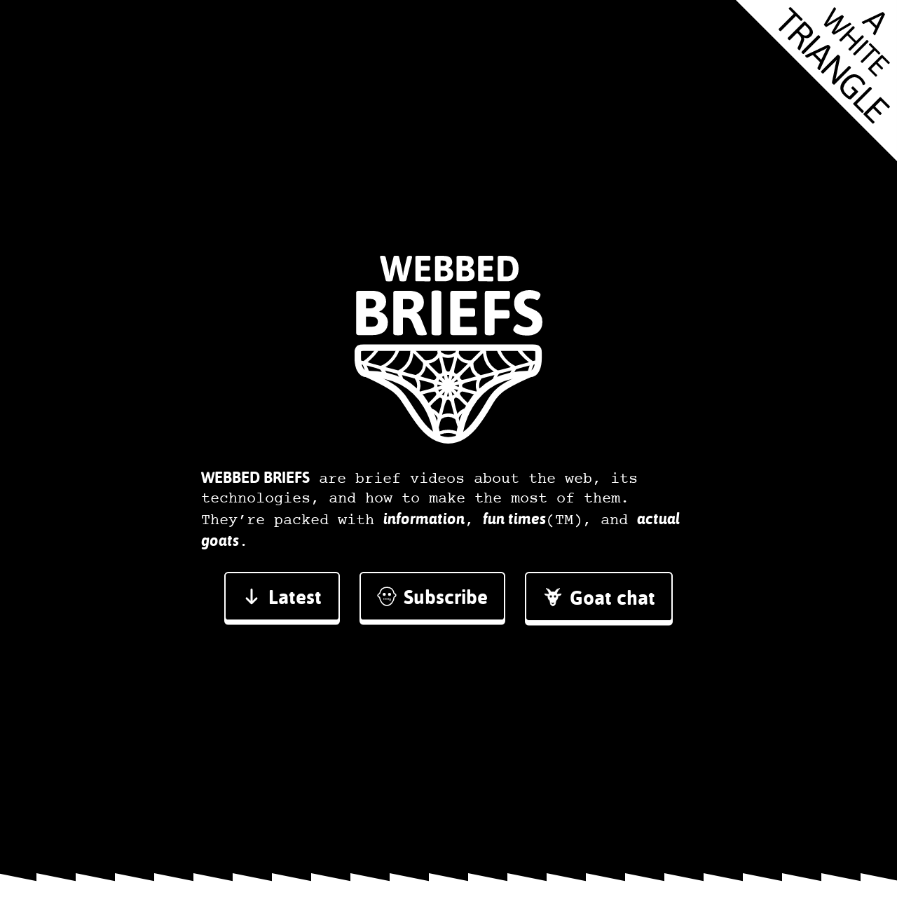 Screenshot of Webbed Briefs website